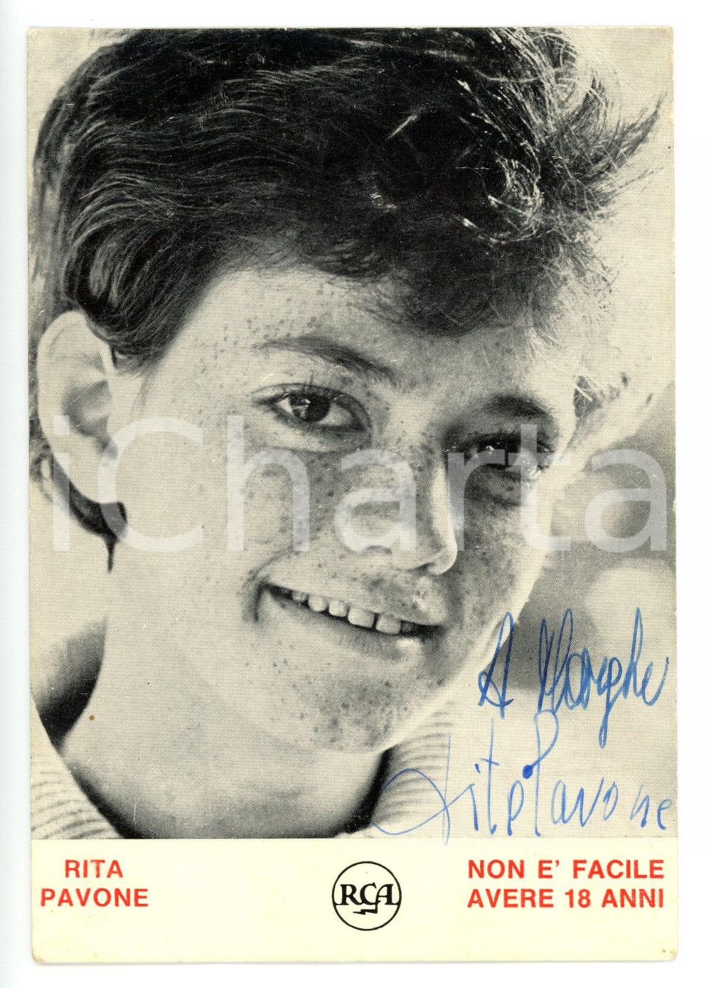 1965 ca MUSICA Rita PAVONE - Ritratto *Fotografia seriale RCA con AUTOGRAFO 