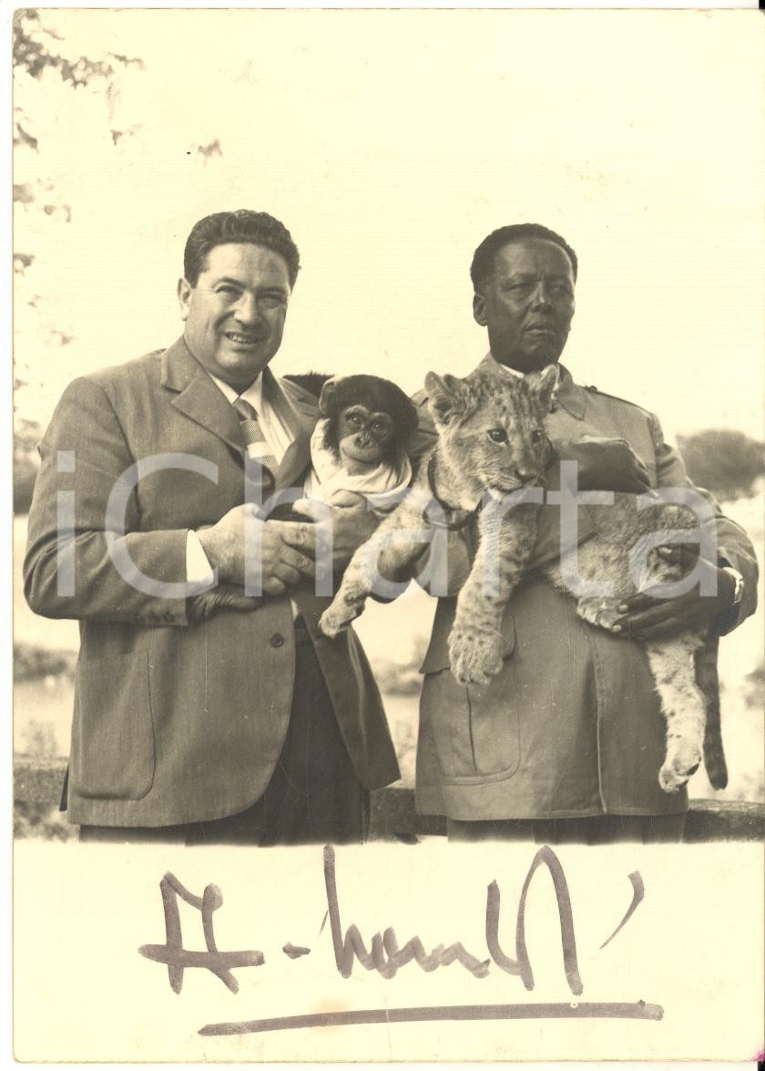 1950 ca AFRICA Italiano in visita con cuccioli di animali selvatici - Foto 10x15