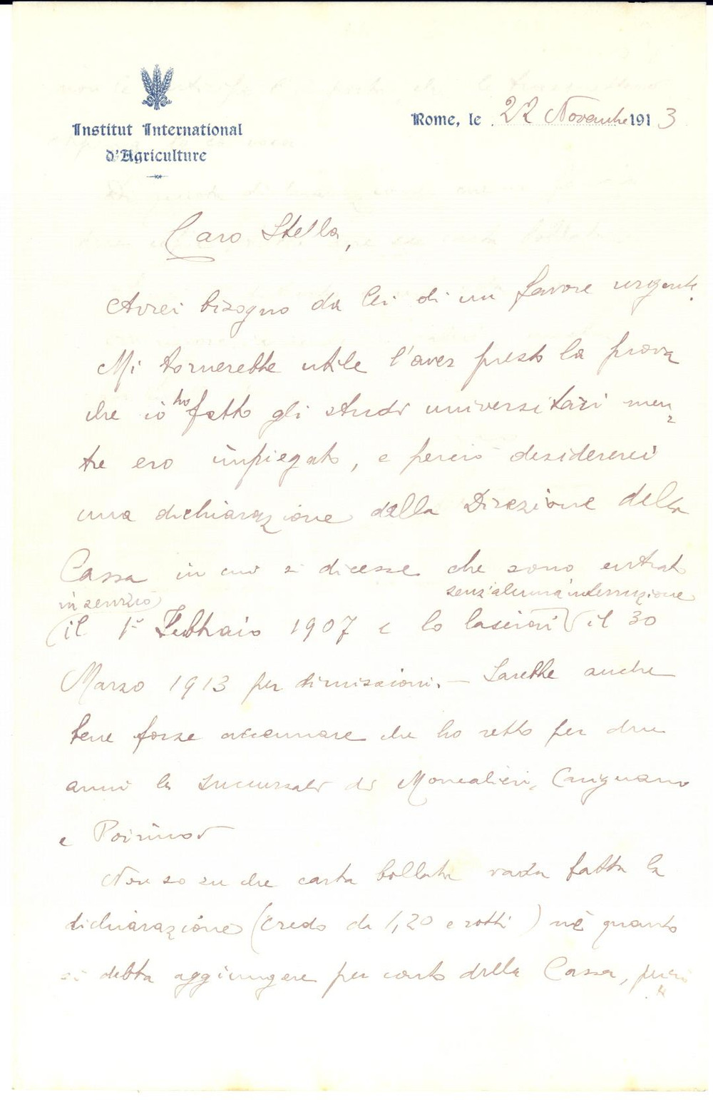 1913 ROMA Istituto Internazionale d'Agricoltura - Lettera all' avv. STELLA