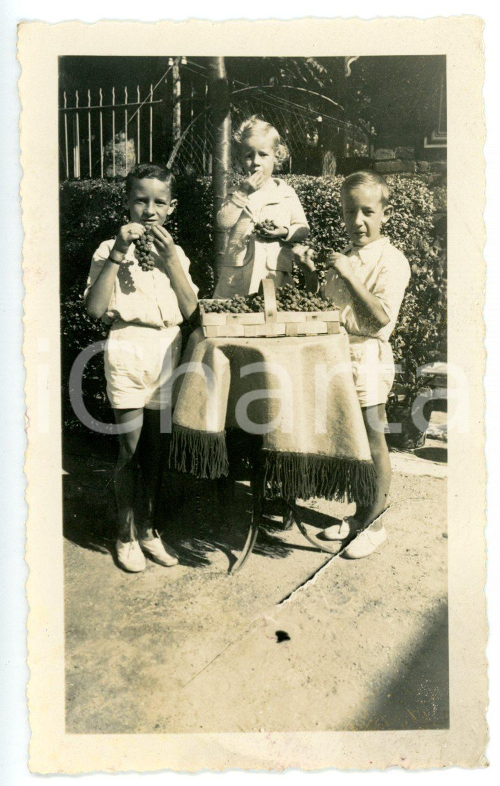 1940 ca PIEMONTE Ritratto di bambini con cesta d'uva Moscato *Fotografia 7x11 cm