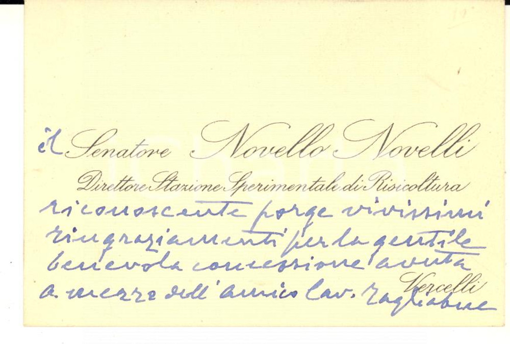 1940 ca VERCELLI Senatore Novello NOVELLI Stazione Risicoltura - AUTOGRAFO