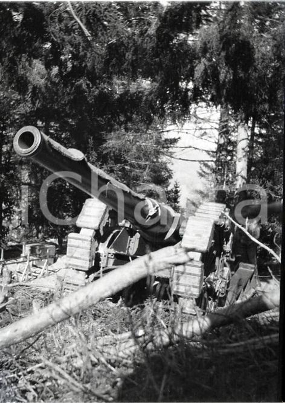 6X4cm NEGATIVO ORIGINALE *1915ca WW1 ESERCITO ITALIANO Obice 149/35 In linea (1)