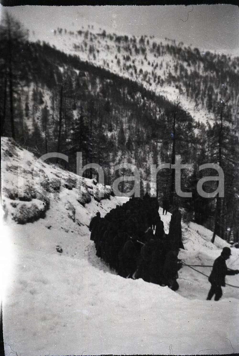 6X9cm NEGATIVO ORIGINALE*1915ca WW1 ESERCITO ITALIANO Traino obice sulla neve 1