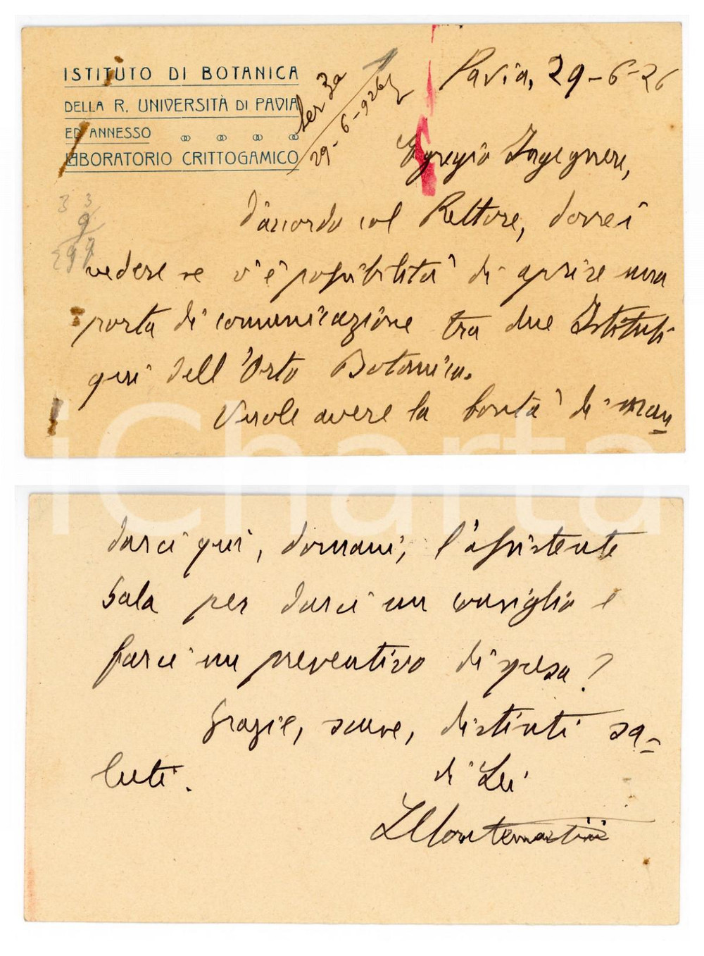1926 PAVIA Istituto Botanica - Luigi MONTEMARTINI chiede preventivo - AUTOGRAFO