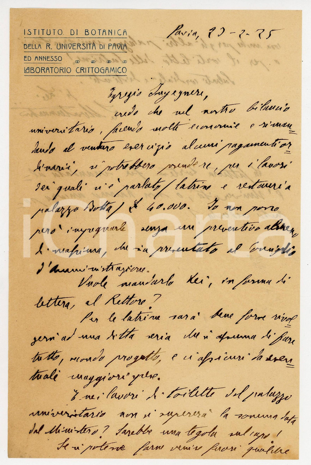 1925 PAVIA Istituto Botanica - Luigi MONTEMARTINI chiede preventivo per lavori