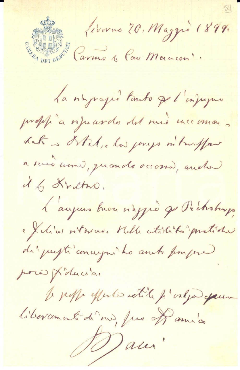 1899 LIVORNO On. Gaetano BACCI - Lettera di ringraziamento  - AUTOGRAFO