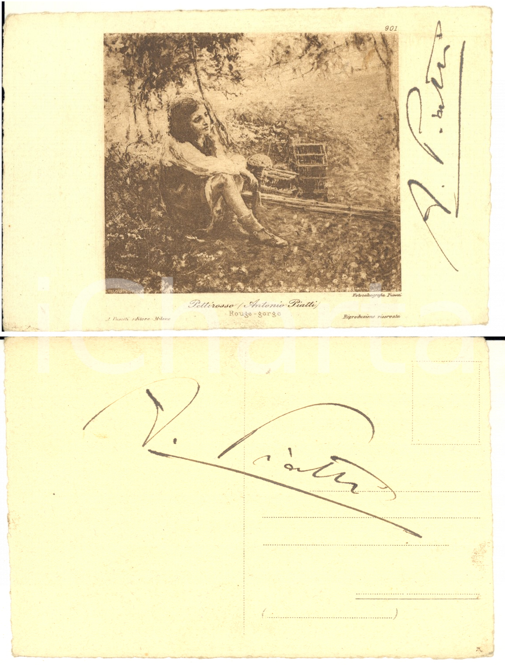 1920 ca Pittore Antonio PIATTI "Pettirosso" - Cartolina con AUTOGRAFO