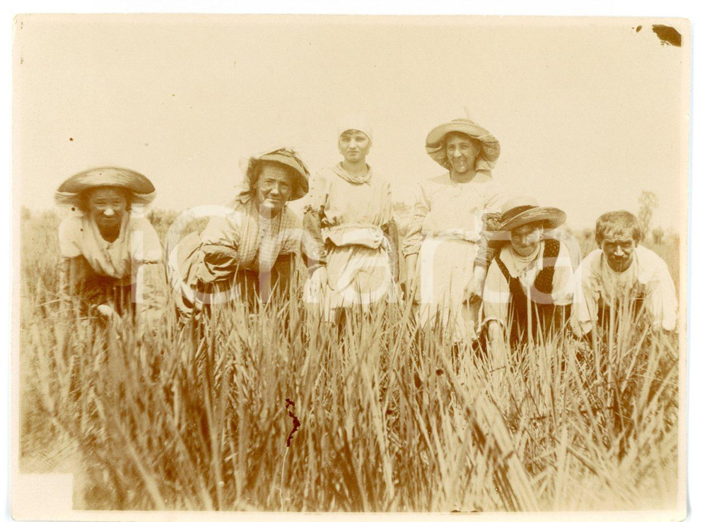 1921 NORD ITALIA Mondine al lavoro in una risaia *Fotografia 11x8 cm