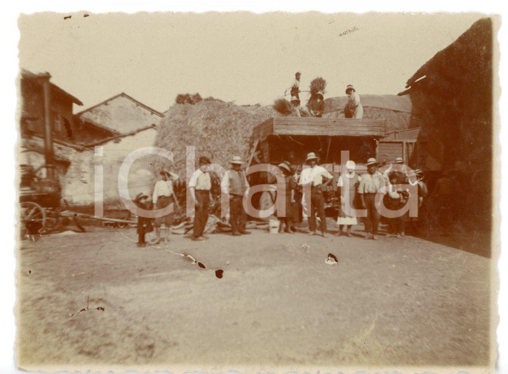 1921 AREA PIEMONTESE Raccolta del fieno in una cascina *Foto 11x8 cm