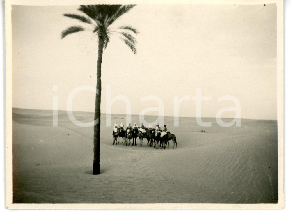 1929 HON (LIBIA) Beduini e Carabinieri Reali in cammello nel deserto - 10x8 cm