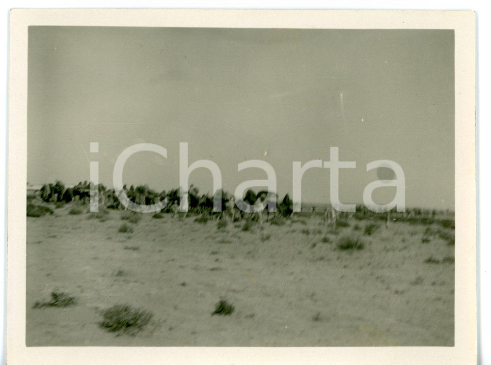1929 BUERAT EL HSUN (LIBIA) Carovana di beduini con cammelli *Foto 11x8 cm