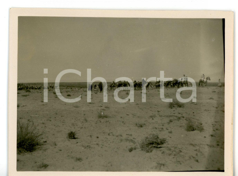 1929 BUERAT EL HSUN (LIBIA) Carovana di militari e beduini con cammelli - Foto