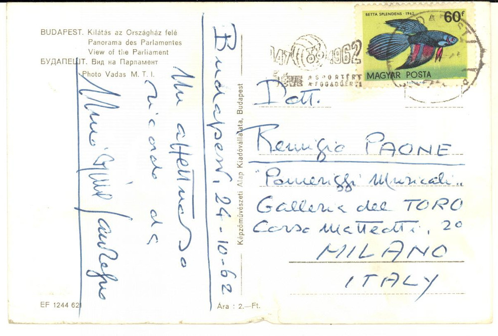 1962 BUDAPEST Nino SANZOGNO Direttore d'orchestra - Cartolina a Remigio Paone