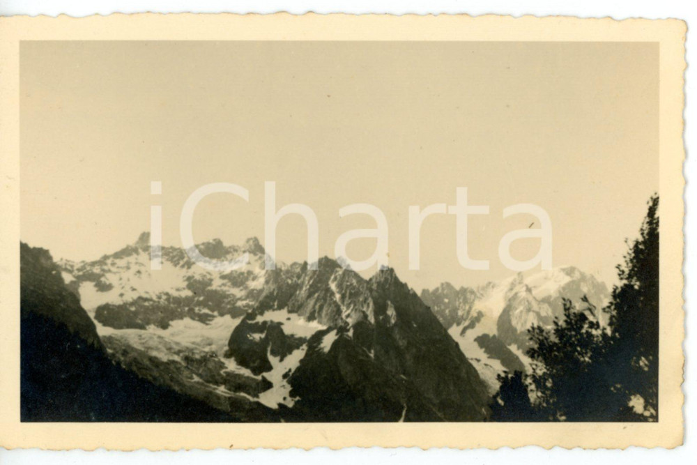 1937 ENTREVES (AO) Panorama con GRANDES JORASSES e DENTE DEL GIGANTE *Foto FP