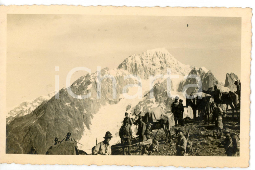 1937 COLLE DI TOULA Alpini con muli da trasporto - Fotocartolina FP