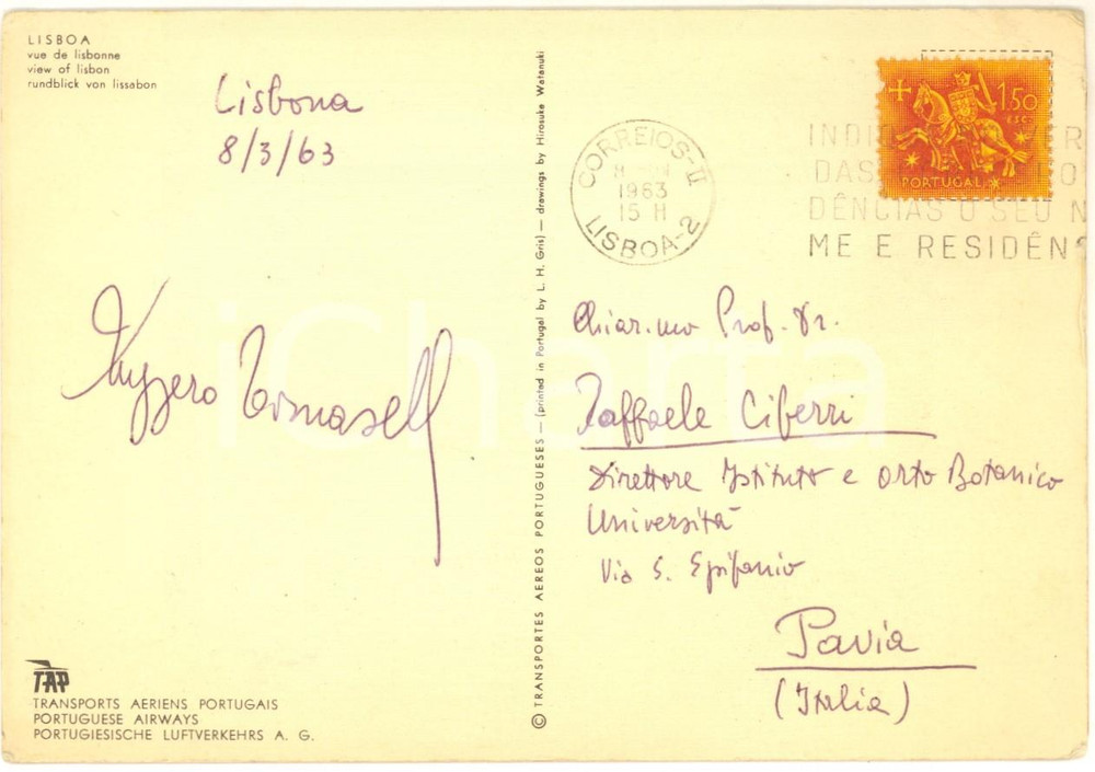 Autografo originale 1963 LISBONA Cartolina botanico Ruggero TOMASELLI  Autografo FG VG 1