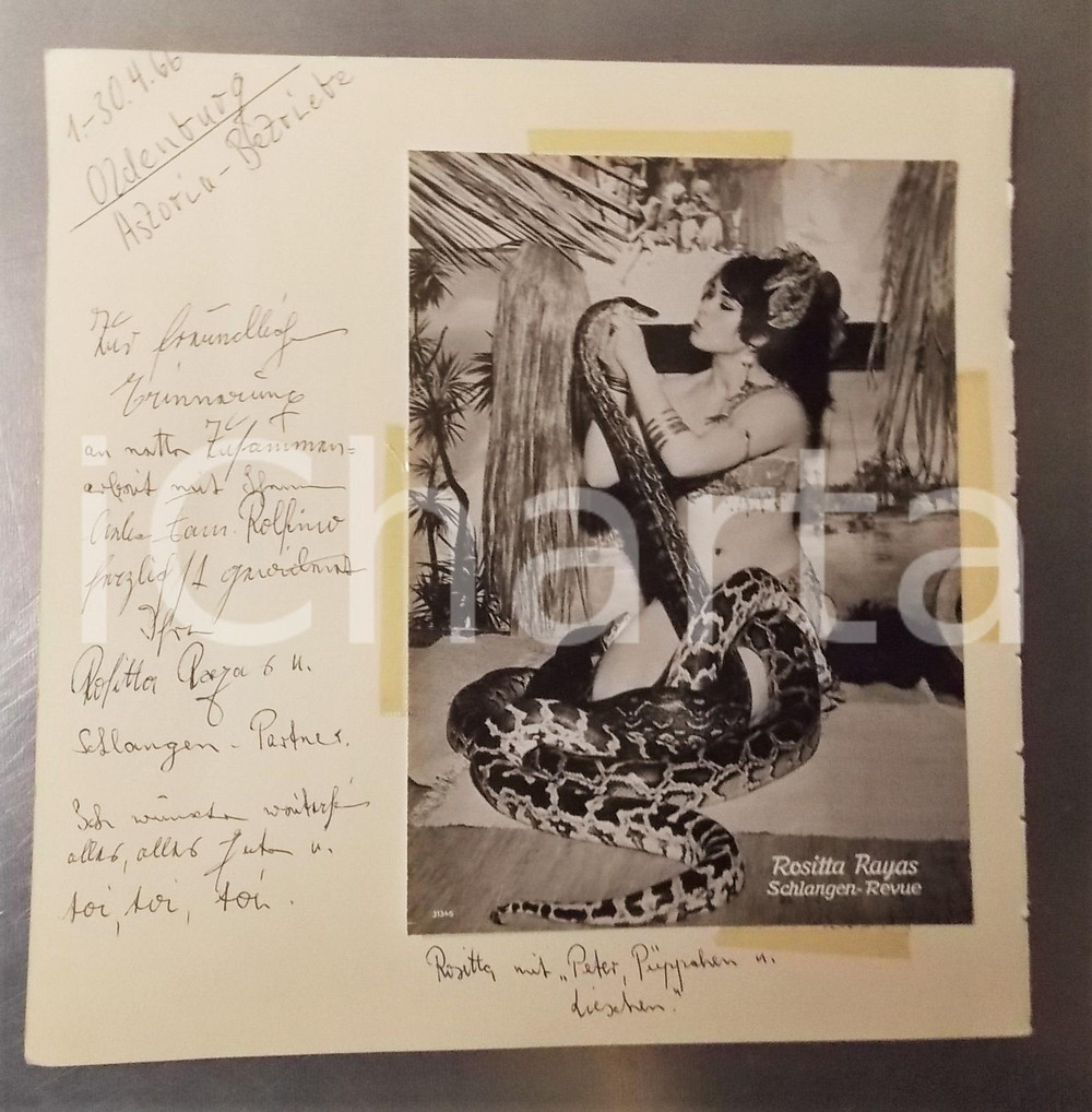 1966 OLDENBURG CABARET Rositta RAYAS danzatrice con serpenti - AUTOGRAFO