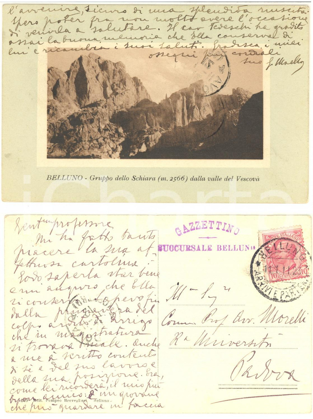 1923 BELLUNO GAZZETTINO Cartolina G. MAELLO per ringraziamento -  FP VG