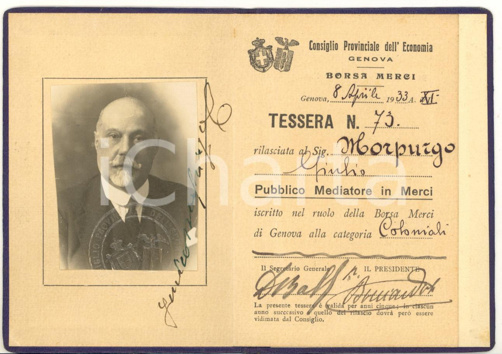 1933 GENOVA Consiglio Provinciale Economia - Tessera Giulio MORPURGO mediatore