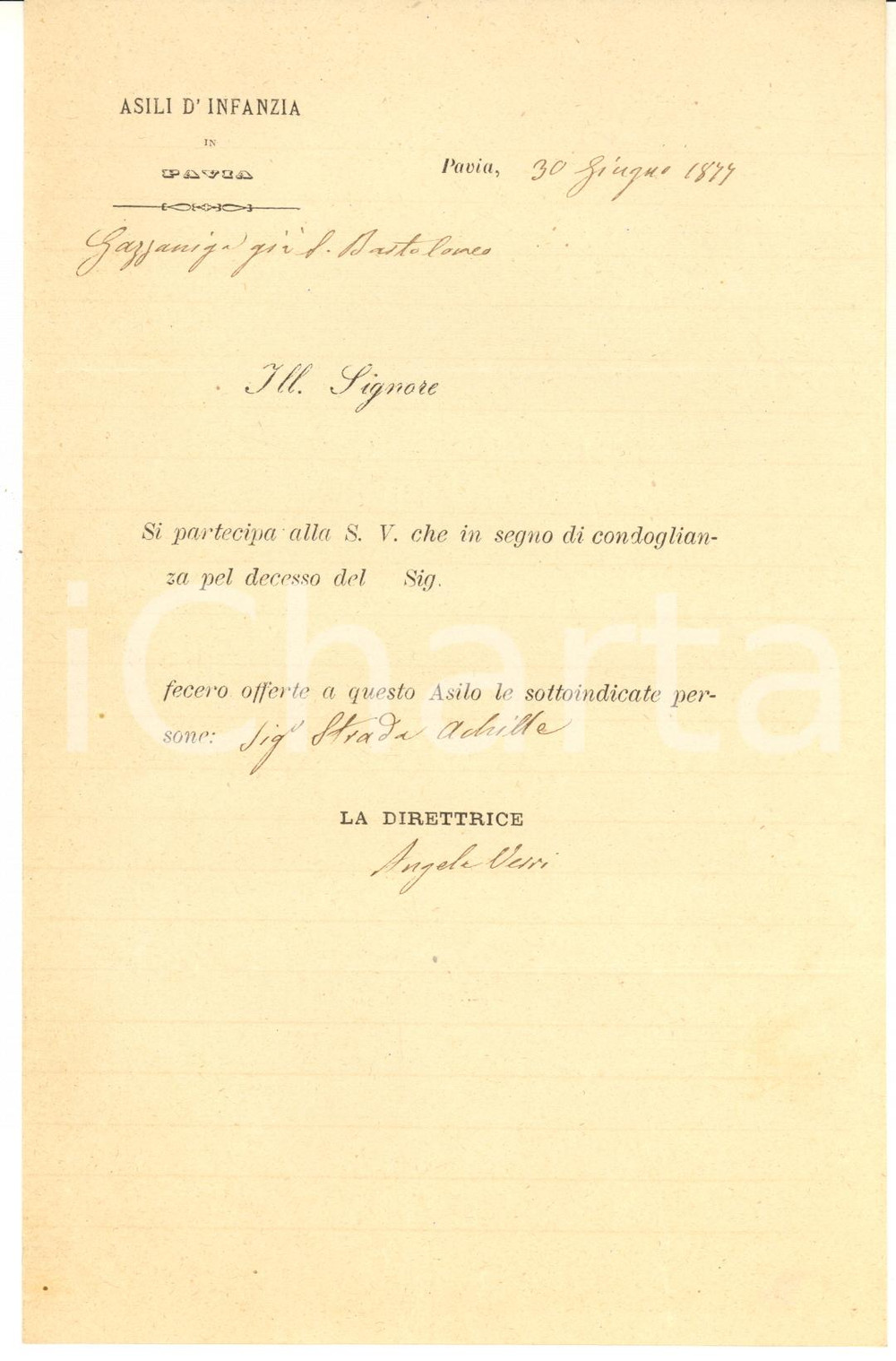 1877 PAVIA Asili d'Infanzia - Lettera direttrice Angela VERRI per offerte