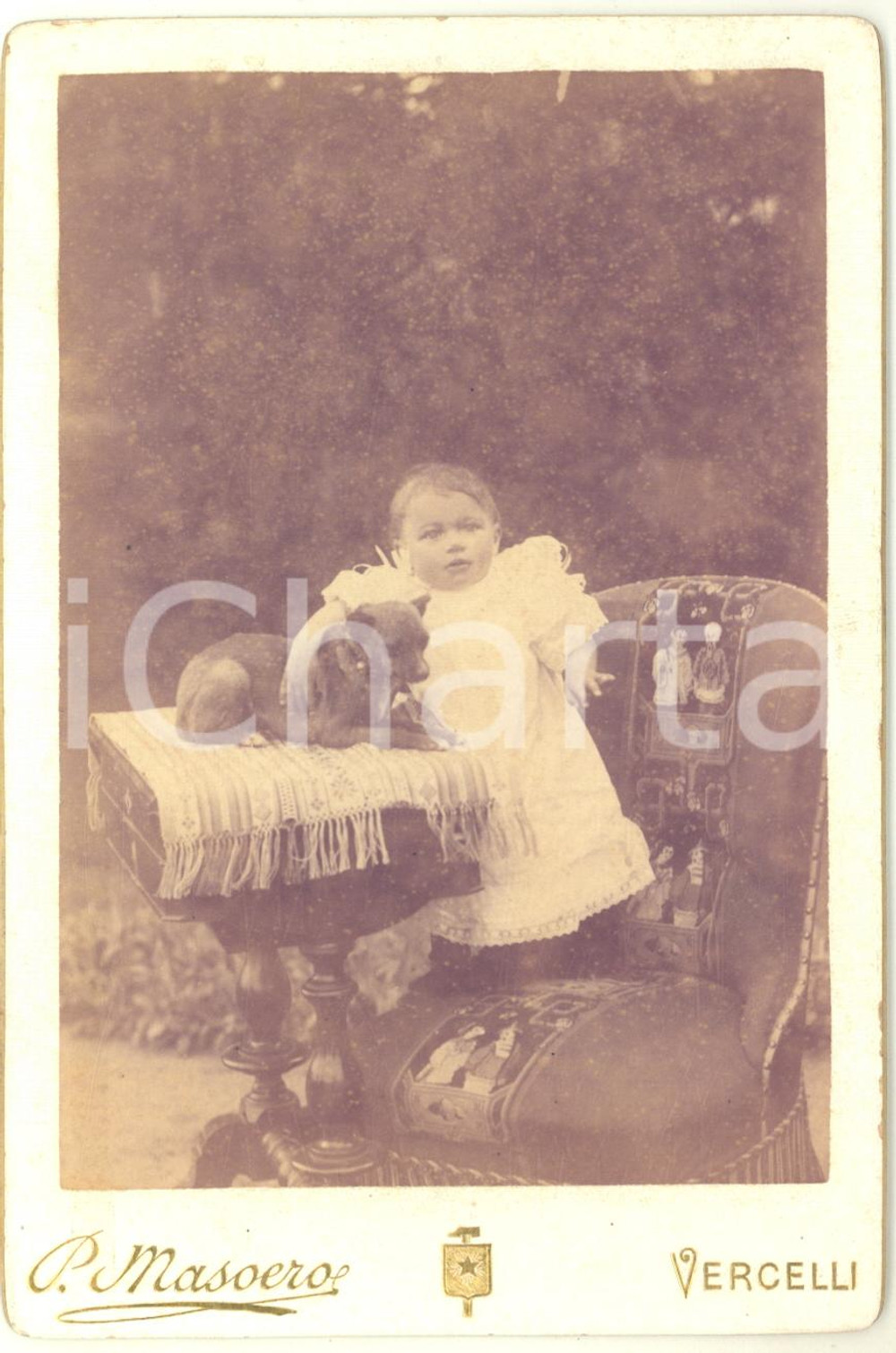 1890 ca VERCELLI Ritratto di bambina con cane - Foto MASOERO 11x17 cm RARA