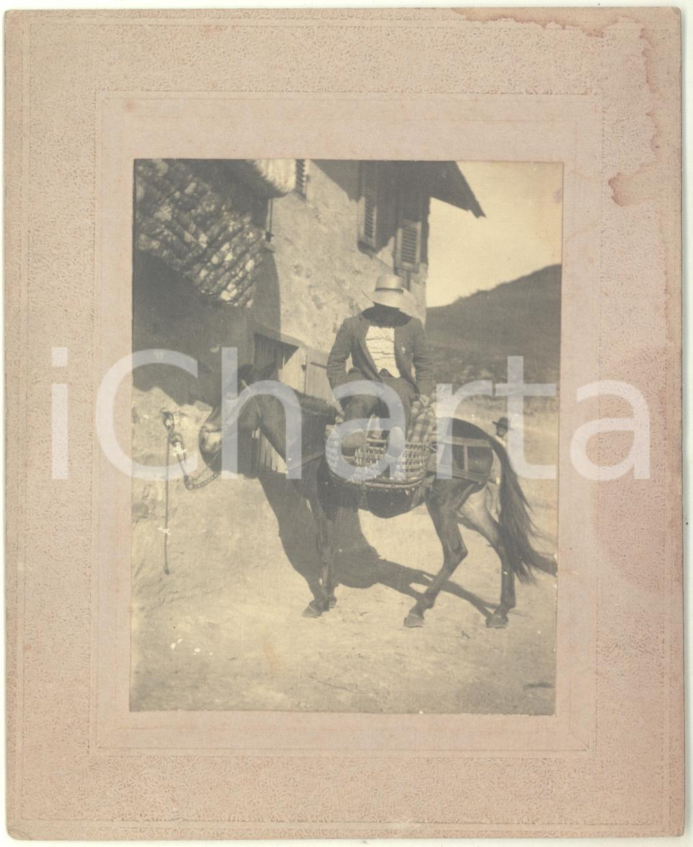 1900 ca ITALIA - MONTAGNA - Ritratto maschile a dorso di mulo - Foto RARA 13x16