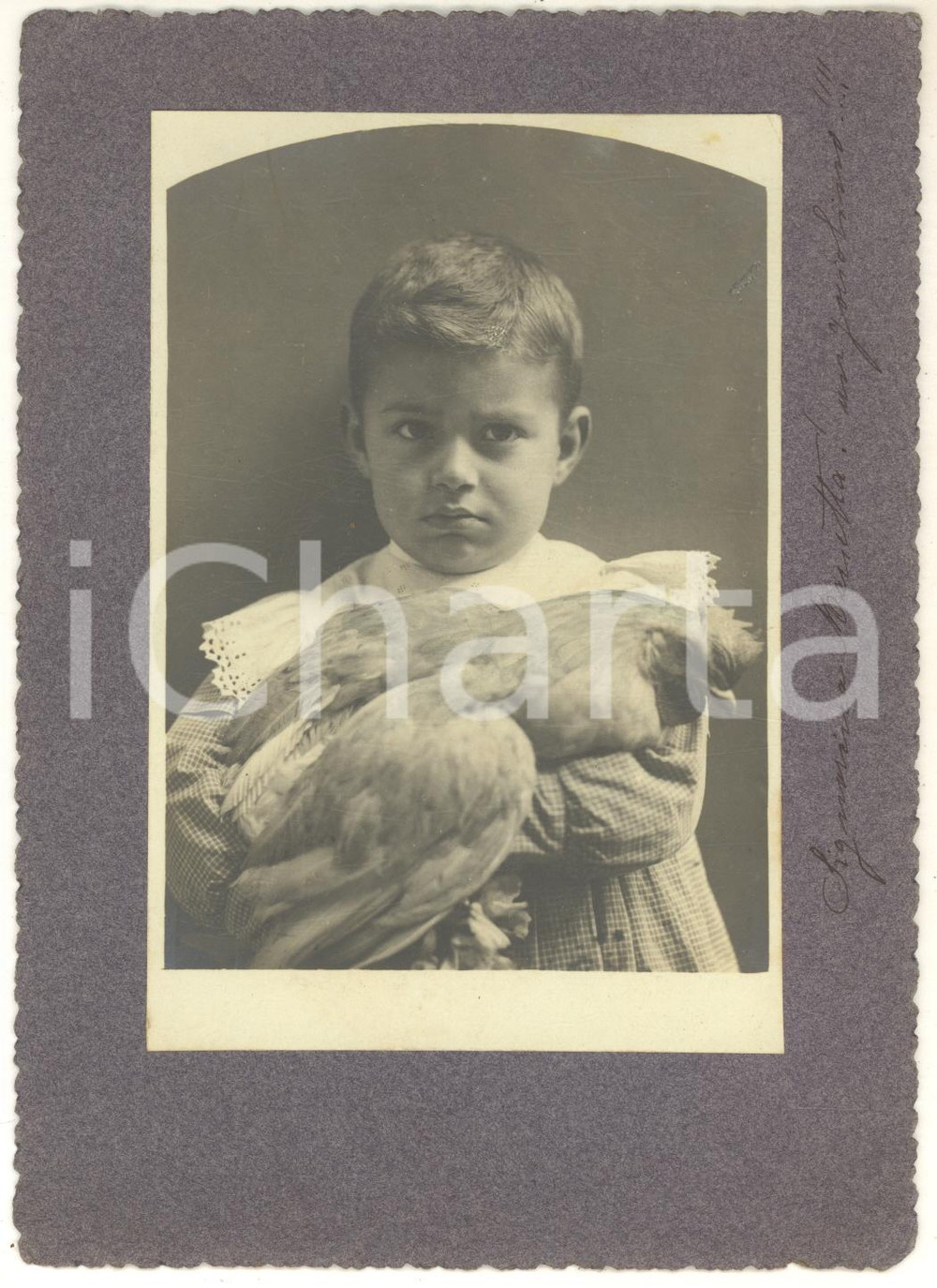 1930 ca s. l. ITALIA Ritratto di bambina con gallina - Foto CURIOSA 13x18 cm