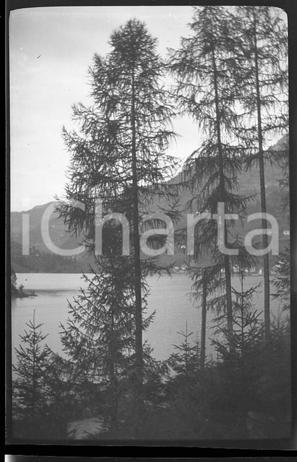 6X4cm NEGATIVO ORIGINALE* 1930 LAGO DI MISURINA Panorama tra gli alberi  Negativo originale in bianco e nero (su pellicola), in formato cm 6 x 4 E' severamente vietata la riproduzione. Tutti i diritti sono riservati.ICharta mette in vendita, sul negozio eBay e in esclusiva sul sito "icharta" il proprio archivio composto da numerose diapositive e negativi fotografici d'epoca, tutti originali e autentici, che attraversano la storia del costume italiano tra gli la fine degli anni Sessanta e Novanta.Si tratta di uno sguardo inedito sull'attualità, la politica, la vita quotidiana, il gossip e la cultura, che fotografa il cambiamento della nazione in quest'ultimo scorcio del XX secolo. Un'occasione unica per il mercato del collezionismo, che vede finalmente disponibile un archivio eccezionale per vastità, tematiche e condizioni, in un settore (il negativo fotografico e la diapositiva) di assoluta novità e dalle interessanti prospettive di investimento. CONDIZIONI:FAIR/discretoFORMATO: cm 6 x 4 originale e autentica 1