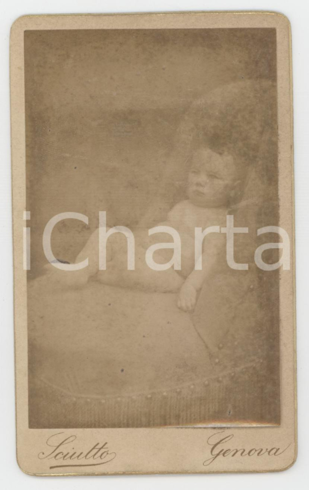 1880 ca GENOVA Ritratto di bambino sulla sedia - Foto SCIUTTO CDV