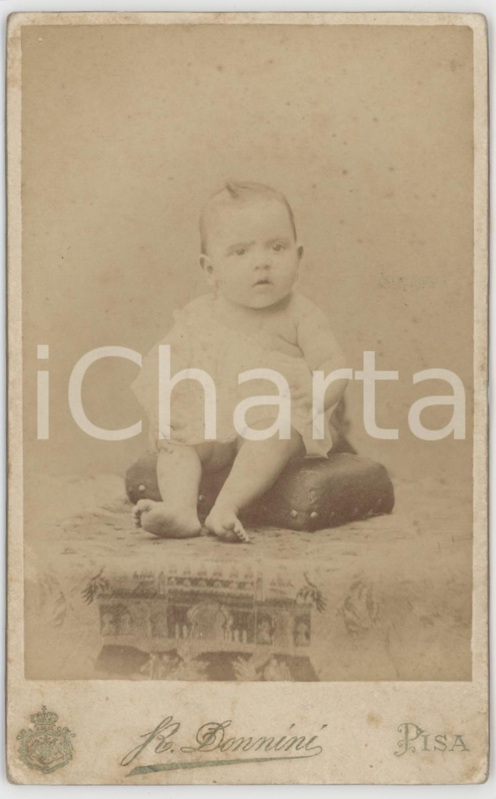 1890 ca PISA Ritratto di bambino seduto - Foto DONNINI 8x13 cm