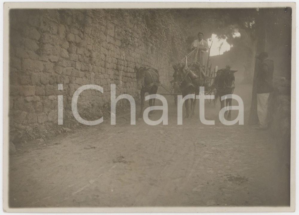 1920 ca CASTELLI ROMANI Passaggio di contadino su calesse - Foto 18x13 cm