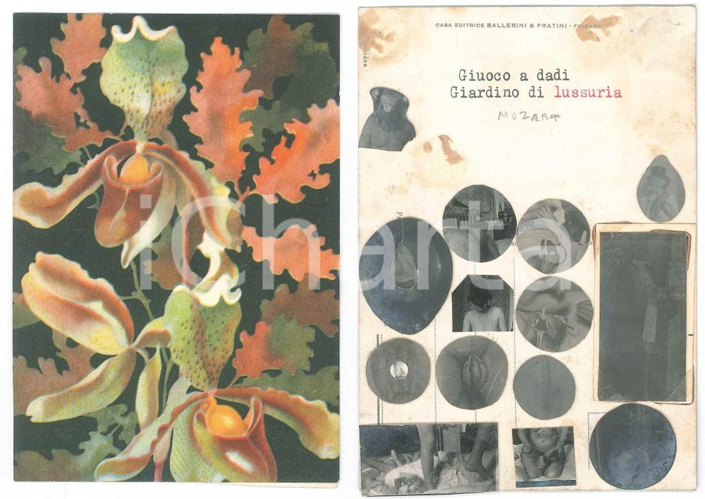 1930 ca ITALIA Orchidea - Giardino di lussuria *Cartolina con VERE FOTO EROTICHE  Cartolina postale d'epoca, recante al verso numerose fotografie di piccolo formato, che testimoniano un incontro di natura erotica. FAIR/discreto lievi residui di colla e carta; ingiallimenti Formato: 15x10 cm originale e autentica 1