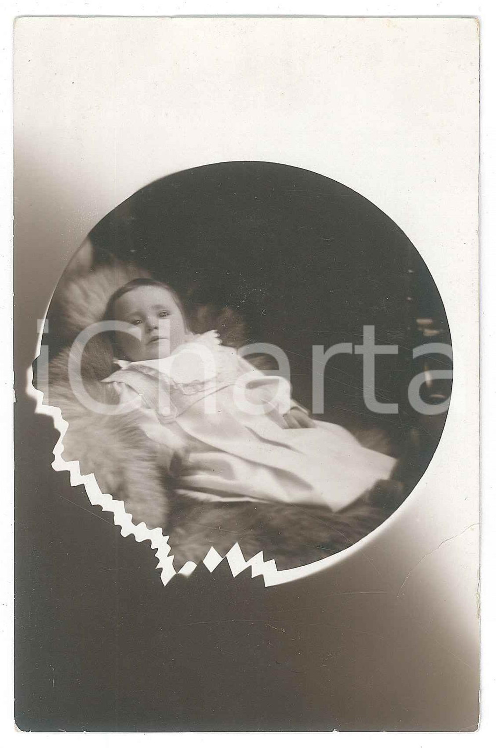 1920 ca TORINO Ritratto di bambino su pellicciotto *Foto cartolina Enea MANGINI
