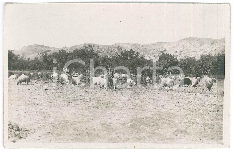 1920 ca SARDEGNA Area di CAGLIARI - Pastore bambino *Foto cartolina