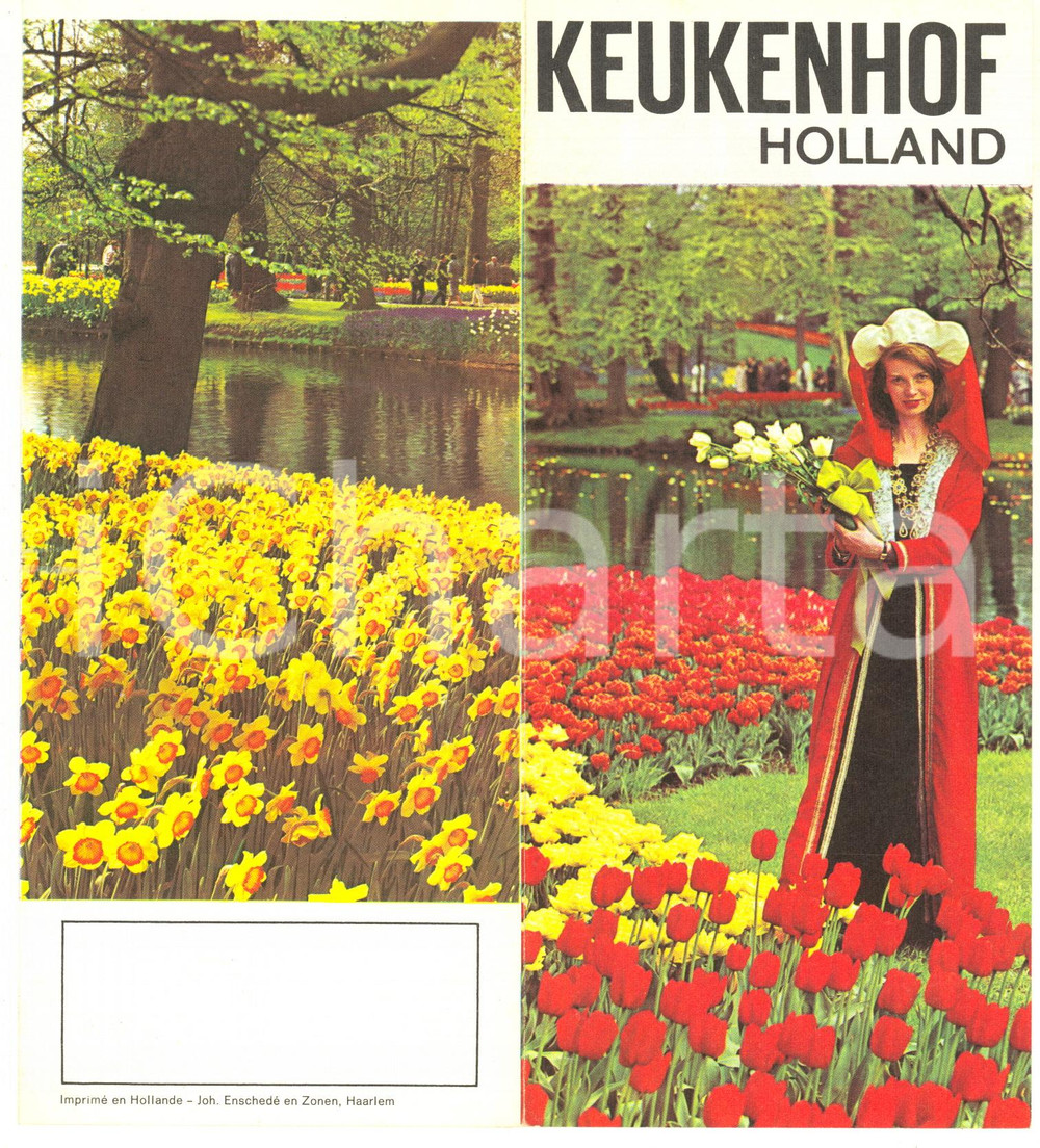 1965 ca TOURISM - KEUKENHOF (HOLLAND) Illustrated vintage brochure