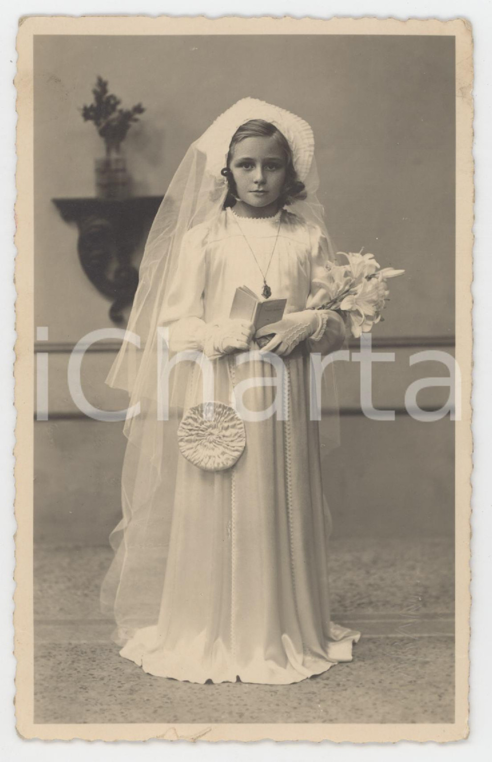 1943 COSTUME VOGHERA (PV) Ritratto di gatto in poltrona - Foto MARIANI 9x14 cm