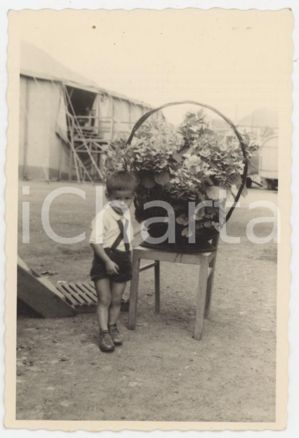 1951 s.l. - CIRCUS PINDER - Bambino con cesto di fiori - Foto 7x10 cm  Fotografia originale d'epoca, con didascalia manoscritta al verso che indica "Richard Li". FAIR/discreto piegatura orizzontale Formato: 7x10 cm originale e autentica 1