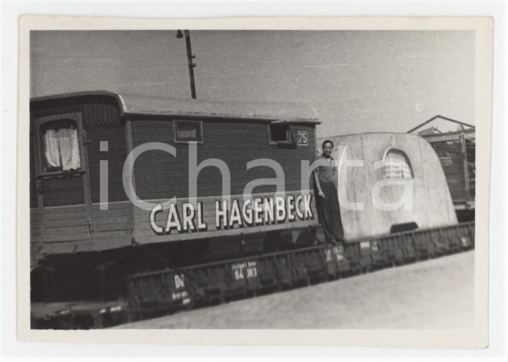 1950 ca GERMANIA Circo Carl HAGENBECK - Trasferta - Foto 9x7 cm