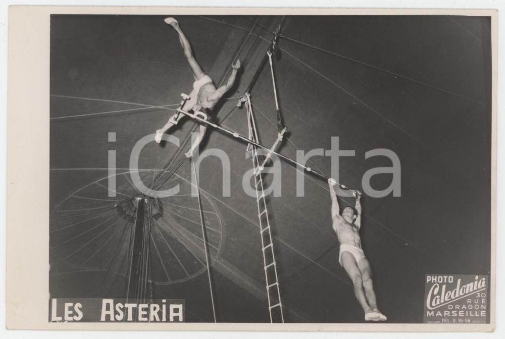 1950 ca FRANCE MARSEILLE - Cirque LES ASTERIA - Acrobates - Photo 18x12 cm