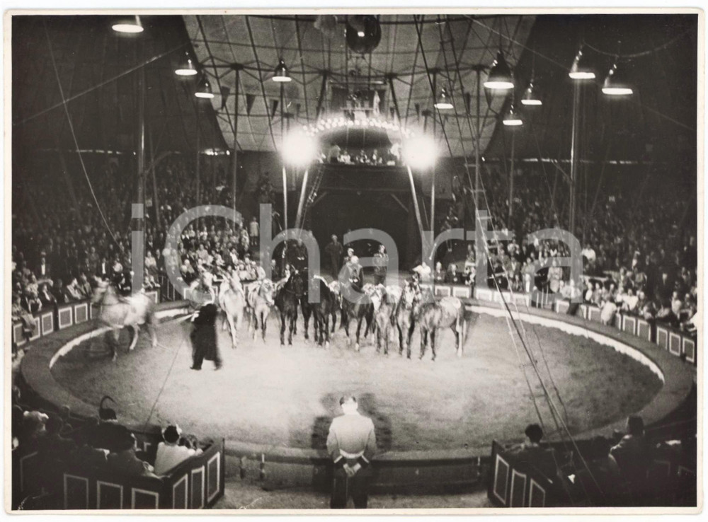 1950 ca GERMANY Circus HAGENBECK - Numero con i cavalli - Foto 18x13 cm  Fotografia originale d'epoca.FOTOGRAFO: Udo Hoffmann - Koln GOOD/buono  Formato: 18x13 cm originale e autentica 1