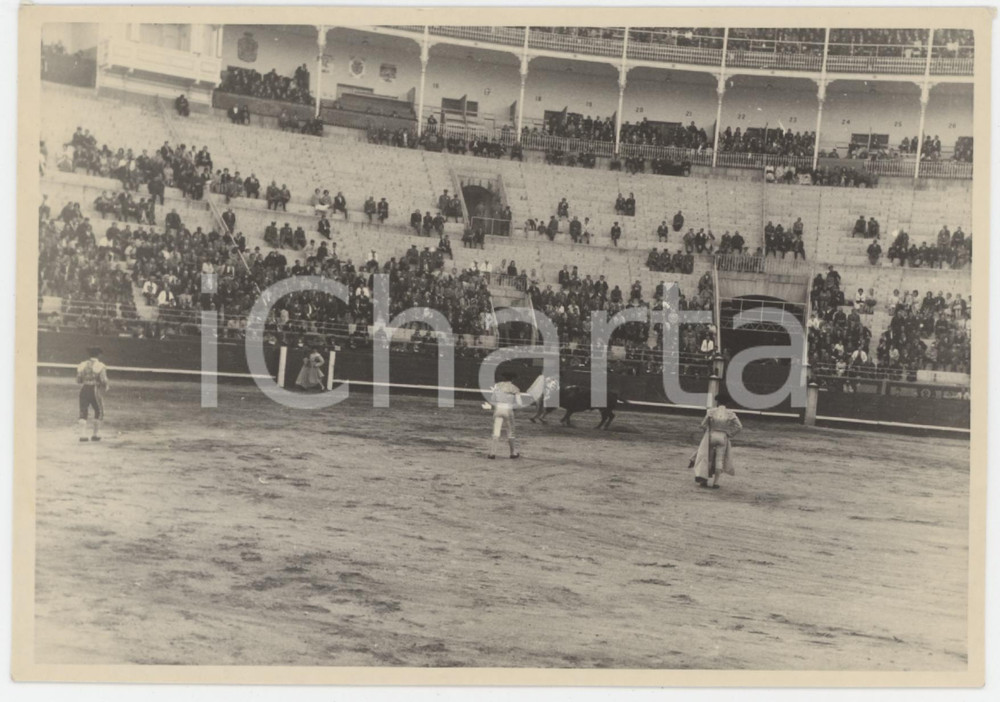 1967 MADRID Plaza de Toros - Una corrida - Fotografia 15x10 cm
