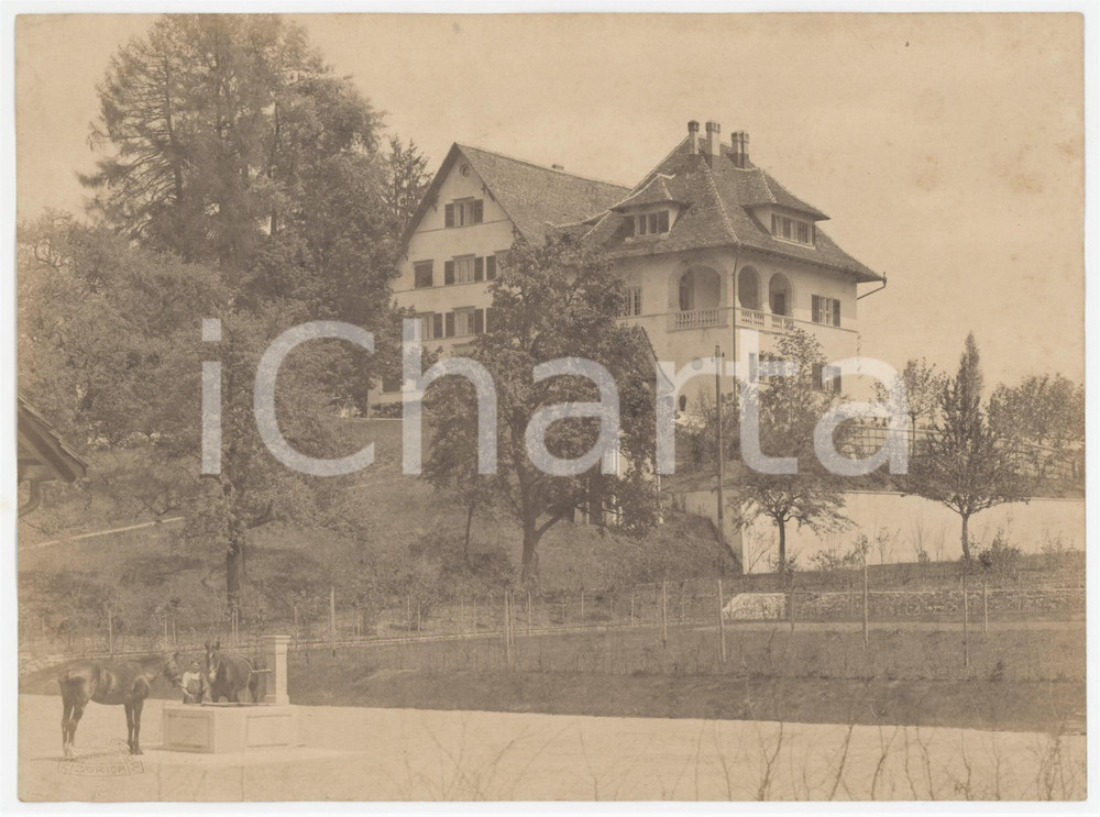 1910 ca BOCKEN ESTATE (SVIZZERA) Veduta - Foto WOLF-BENDER ANIMATA 23x17 cm