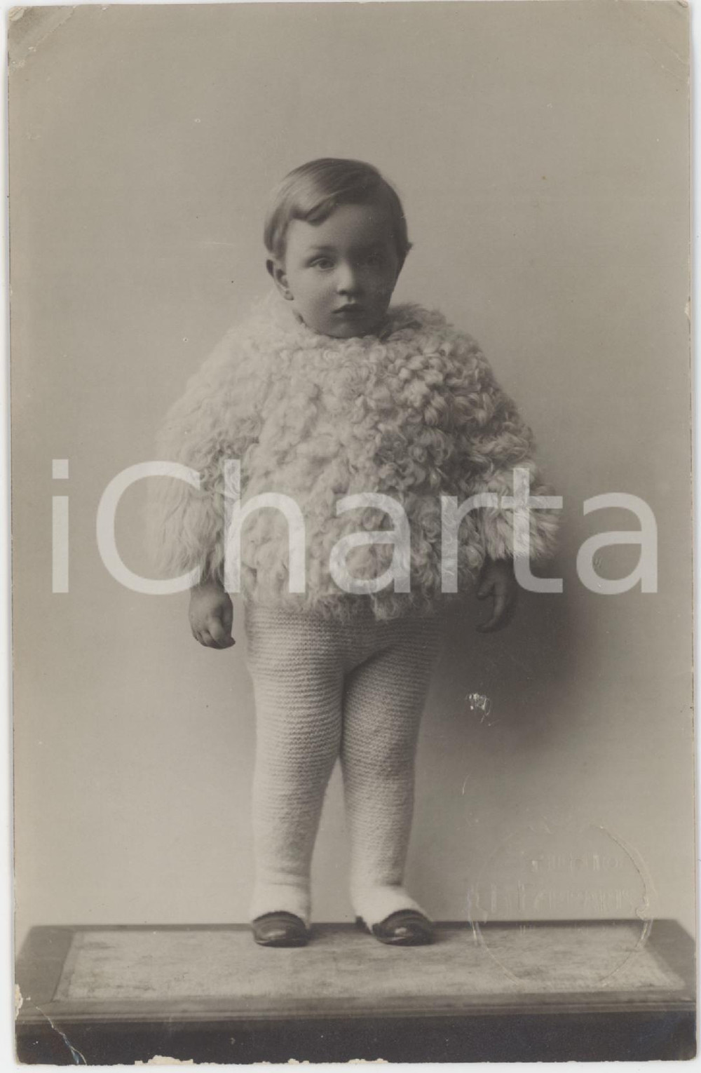 1920 ca TORINO Bambino con maglione in lana - Ritratto - Foto F. FERRARIS 8x14