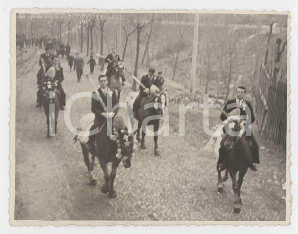1940 ca ITALIA - FOLKLORE Festa popolare - Processione dei cavalli - Foto (2)