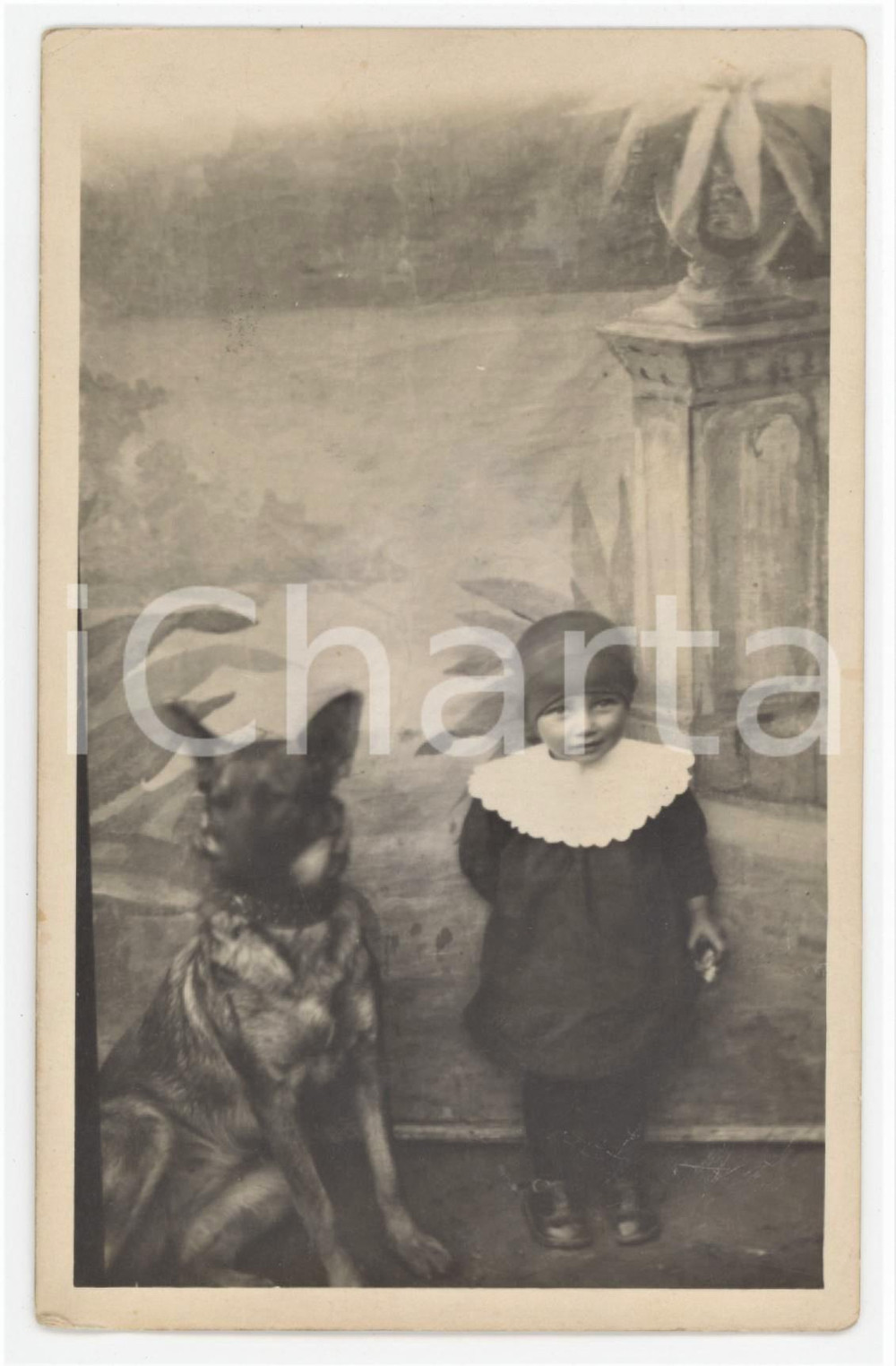 1920 ca ITALIA - COSTUME Bambina con pastore tedesco - Foto ANONIMA 9x14 cm