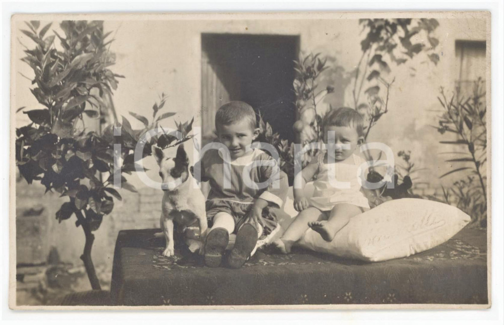 1920 ca NOVARA Bambini con cagnolino - Ritratto - Foto MANZOTTI 9x14 cm