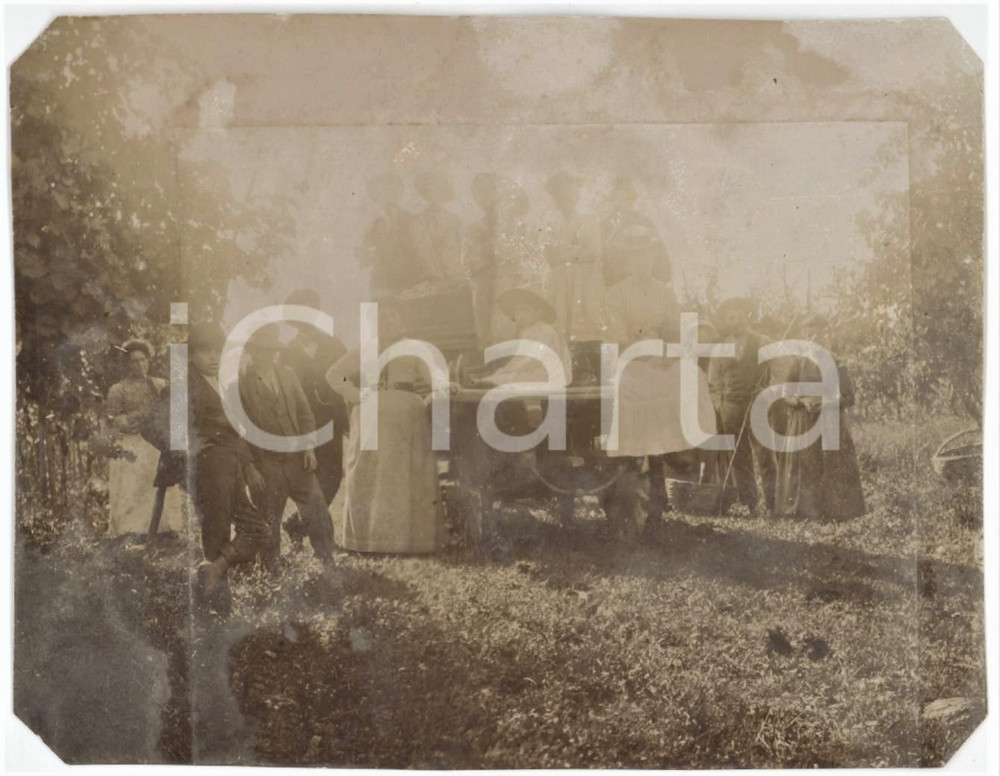 1902 BUTTRIO (UD) Foto di gruppo dopo la vendemmia - Foto 11x8 cm