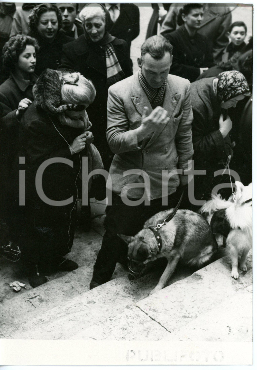 1955 ROMA Sant'Antonio Abate - Benedizione degli animali in Piazza Vittorio