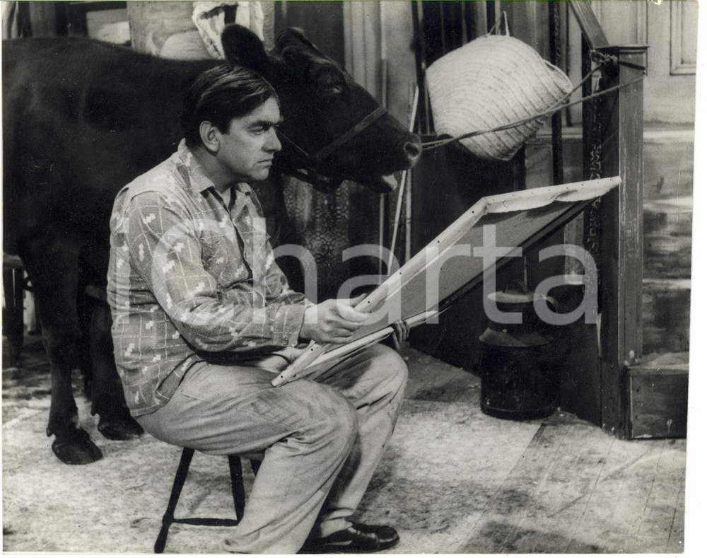 1960 CINEMA "The Rebel" Tony HANCOCK e la mucca ERMYNTRUDE in una scena del film