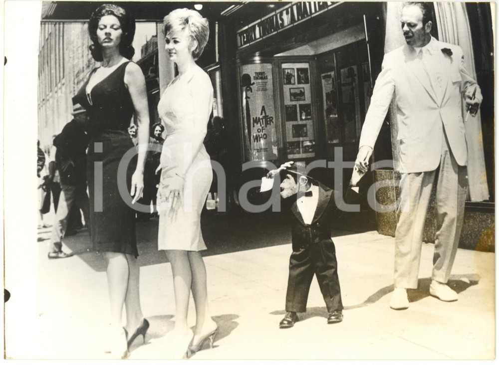 1962 NEW YORK - Scimpanzé TERRY ammira due ragazze per strada *Foto CURIOSA